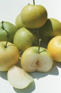Kikusui Asian Pear